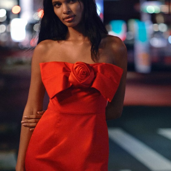 Anthropologie Red Bow Dress - Picture 4 of 7